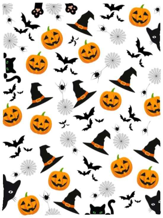 30x40 Halloween Blankets